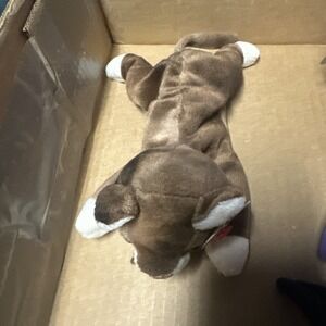 Ty Beanie Baby Pounce the Cat DOB August 28, 1997 MWMT‎ Free Shipping